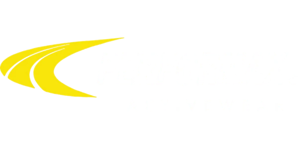 Strategic partner or sponsor logo 3