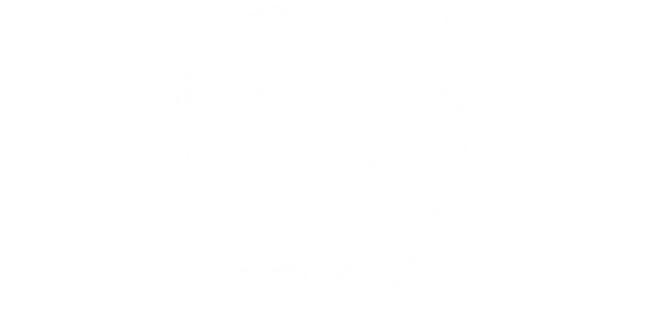 Strategic partner or sponsor logo 13