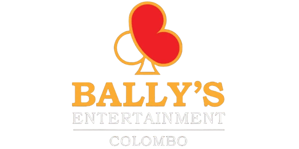 Strategic partner or sponsor logo 17